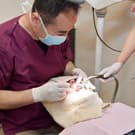 長崎 諫早市 諫早ふじた歯科・矯正歯科 02.一般歯科ドクターと連携し総合的な治療を行います